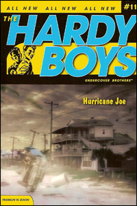 #11 - Hurricane Joe